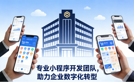 成都软件开发怎么选？