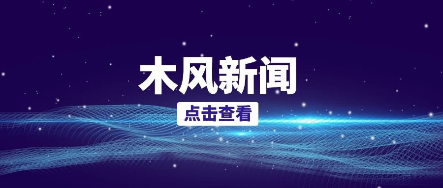 实测：GEO优化前后，AI引用率变化对比